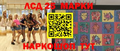 стафф Кингисепп