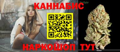 стафф Кингисепп