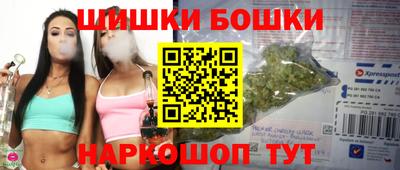 стафф Кингисепп