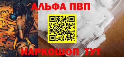 стафф Кингисепп