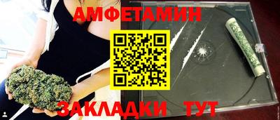 стафф Кингисепп