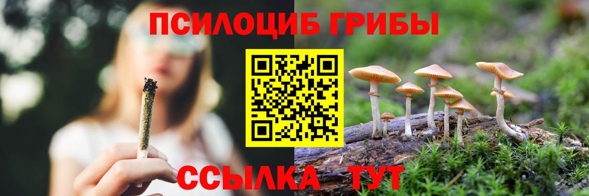 Галлюциногенные грибы мицелий Кириши